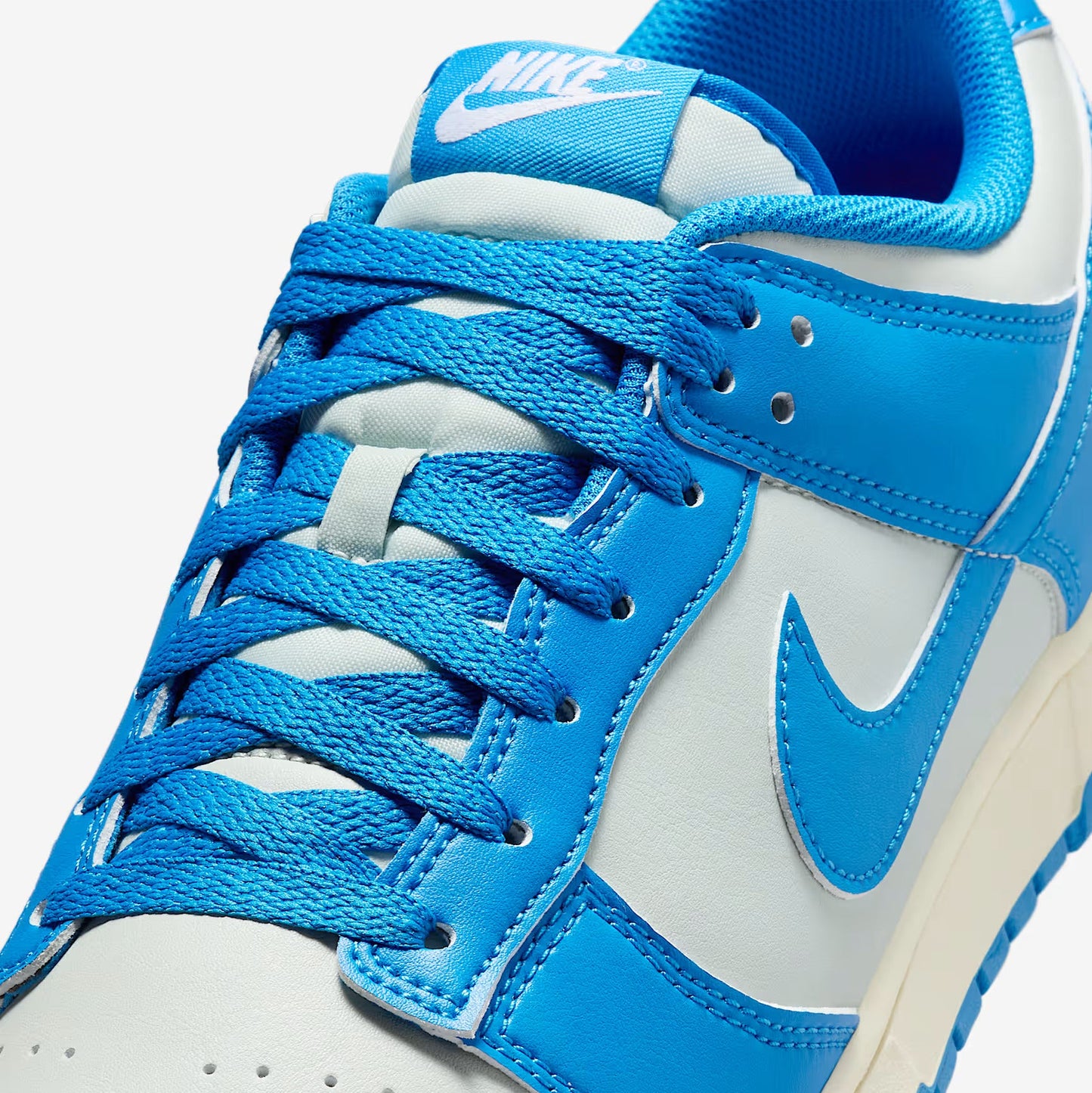 Nike Dunk Low Retro, Blue