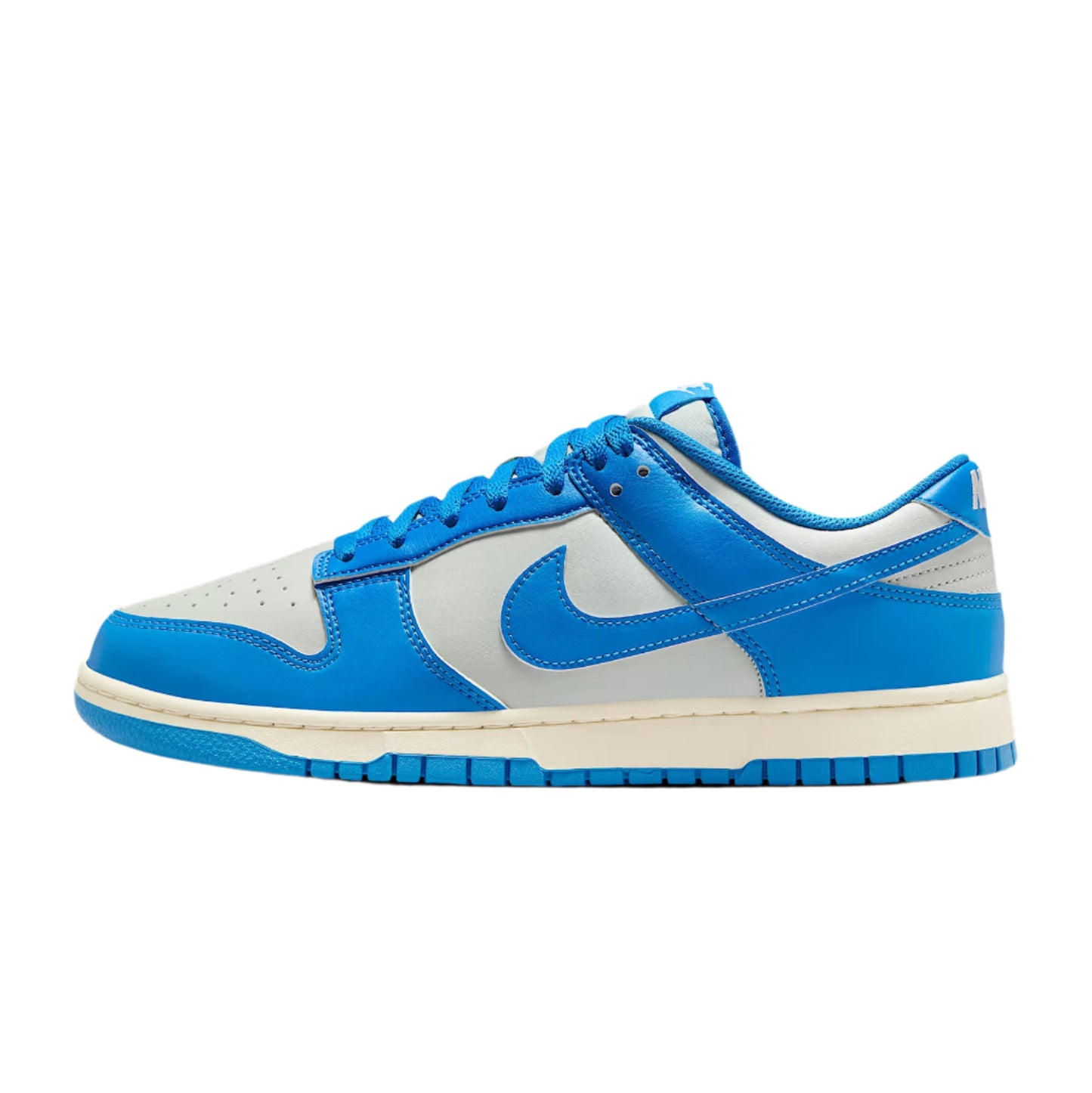 Nike Dunk Low Retro, Blue